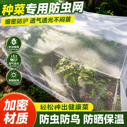 种菜果树专用100目加密透气防虫网农用加厚防蚊虫全覆盖防护网罩