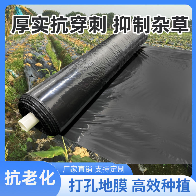 特厚黑地膜果园农用除草地膜4丝6丝大卷专用加厚塑料薄膜农用种植,农机/农具/农膜,农用薄膜,淘宝优惠券,粉丝福利购,淘宝优惠卷