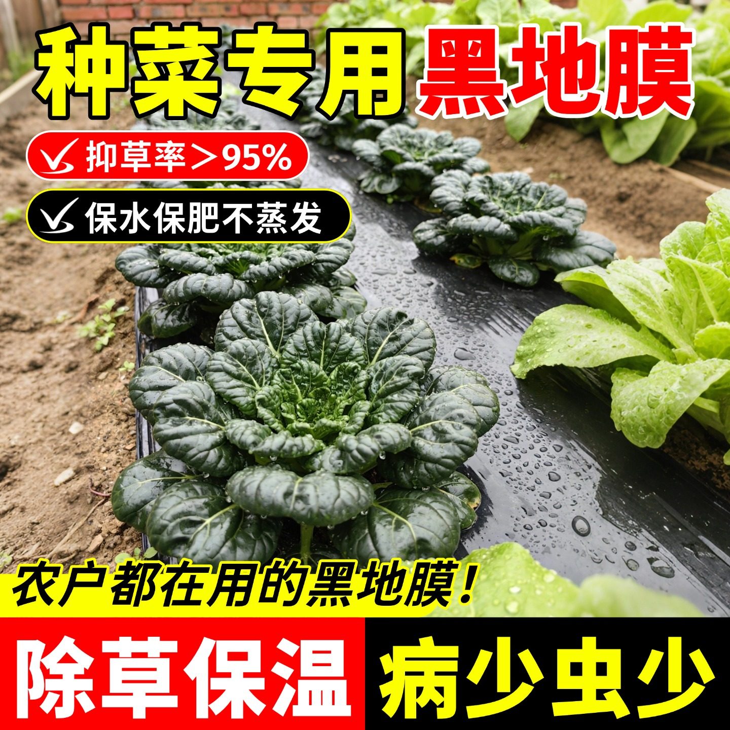 地膜种菜专用黑色加厚塑料薄膜农用种植草莓一次性黑膜盖菜防草布,农机/农具/农膜,农用薄膜,淘宝优惠券,粉丝福利购,淘宝优惠卷