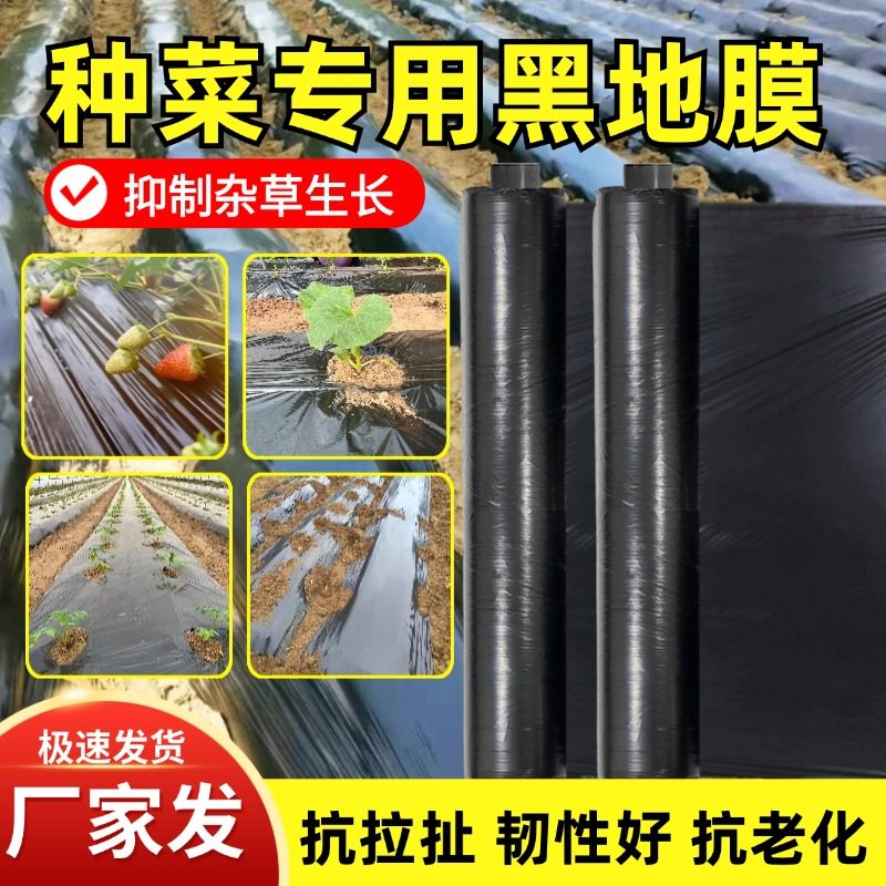地膜种菜专用黑色加厚农用种植塑料薄膜防草布除草批发保温膜地钉,农机/农具/农膜,农用薄膜,淘宝优惠券,粉丝福利购,淘宝优惠卷