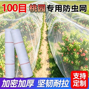 防虫网大棚果园专用纱网防蚊网抗老化庭院九香虫网农用果树蔬菜网