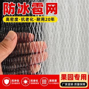防雹网果园防鸟网葡萄网农用防护网果树防冰雹网神器果园葡萄树