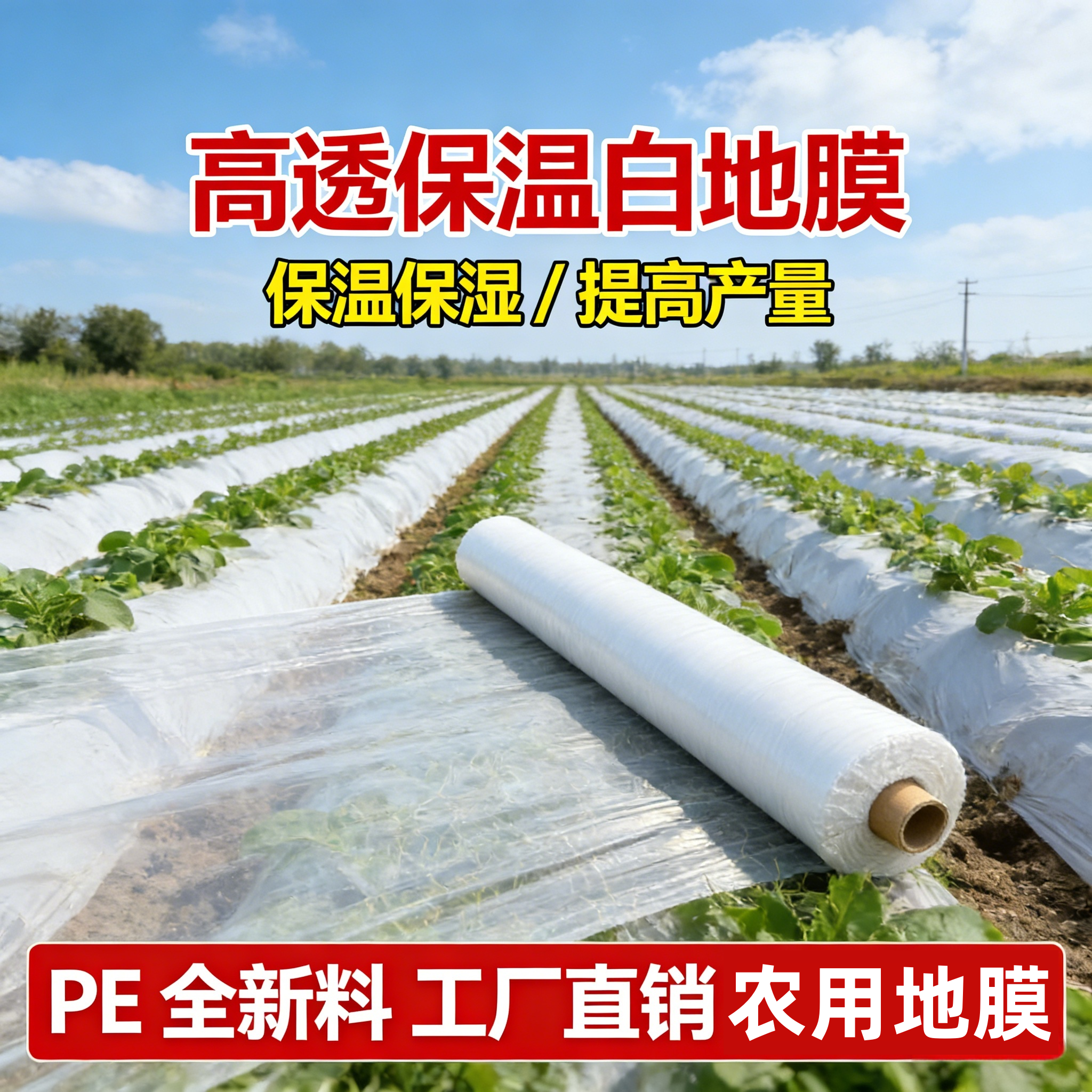 白色塑料膜地膜种菜专用葱蒜育苗地膜农用种植全新料保温保湿薄膜,农机/农具/农膜,农用薄膜,淘宝优惠券,粉丝福利购,淘宝优惠卷