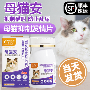 猫咪禁发情期粉母猫公猫专用抑制情欲药闹猫叫抑情片喵情粉静绝情