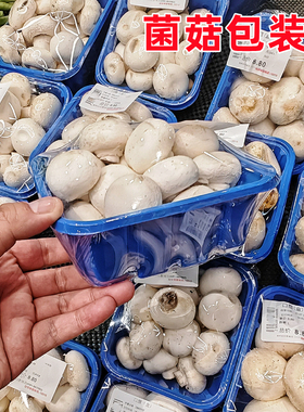 香菇菌菇打包盒一次性塑料果蔬蓝色无盖正方形加厚防损水果包装盒