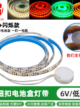 纽扣电池盒带闪烁6V灯条led灯带防水 5VUSB灯带演出服装发光道具