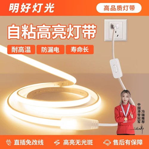 【新款】220v带开关背胶硅胶灯带