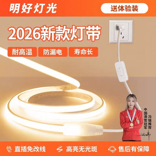 2026新款220v带开关背胶硅胶灯带