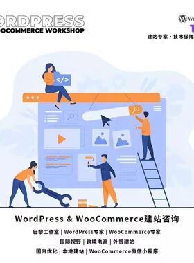 WordPress & WooCommerce建站咨询线上线下一对一指导