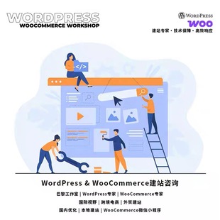 WordPress & WooCommerce建站咨询线上线下一对一指导