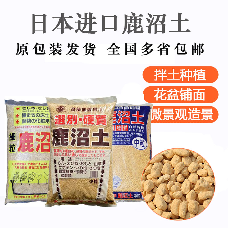 进口鹿沼土包邮 多肉植物兰花专用营养土铺面石 出售赤玉土珍珠岩