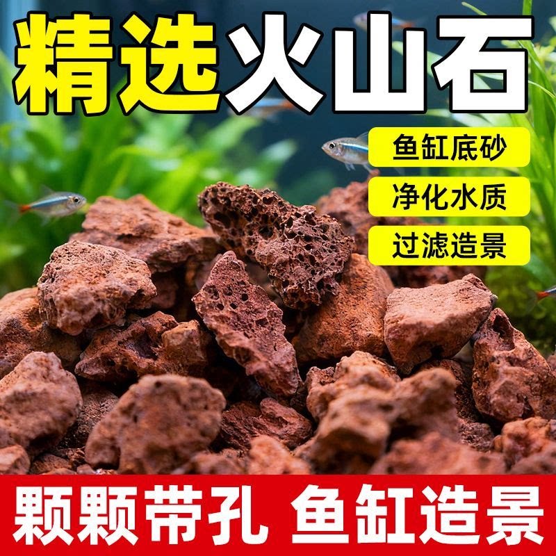 火山岩颗粒多肉天然铺面石鱼缸过滤兰花种植土红色垫底材料营养