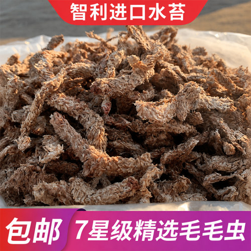 智利水苔无菌进口干苔藓食虫植物蝴蝶兰营养土兰花无土栽培专用土 - 封面