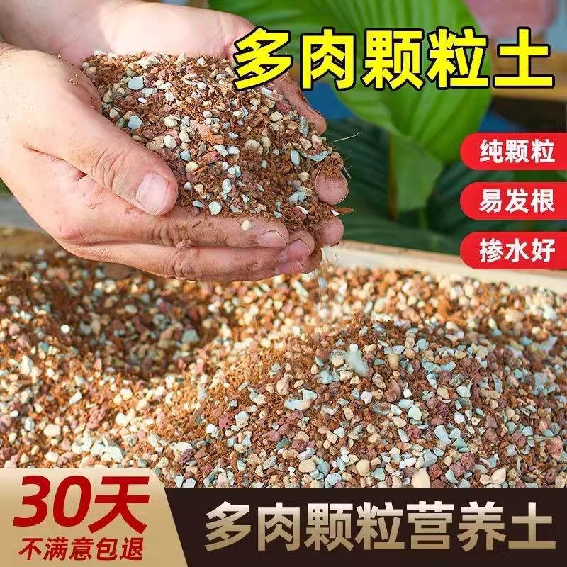 多肉专用颗粒土营养土种植多肉
