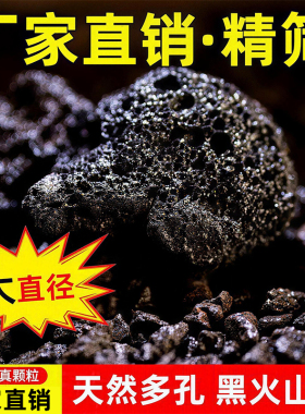 天然黑色火山岩颗粒多肉植物营养土水族净水造景富士砂盆栽铺面石