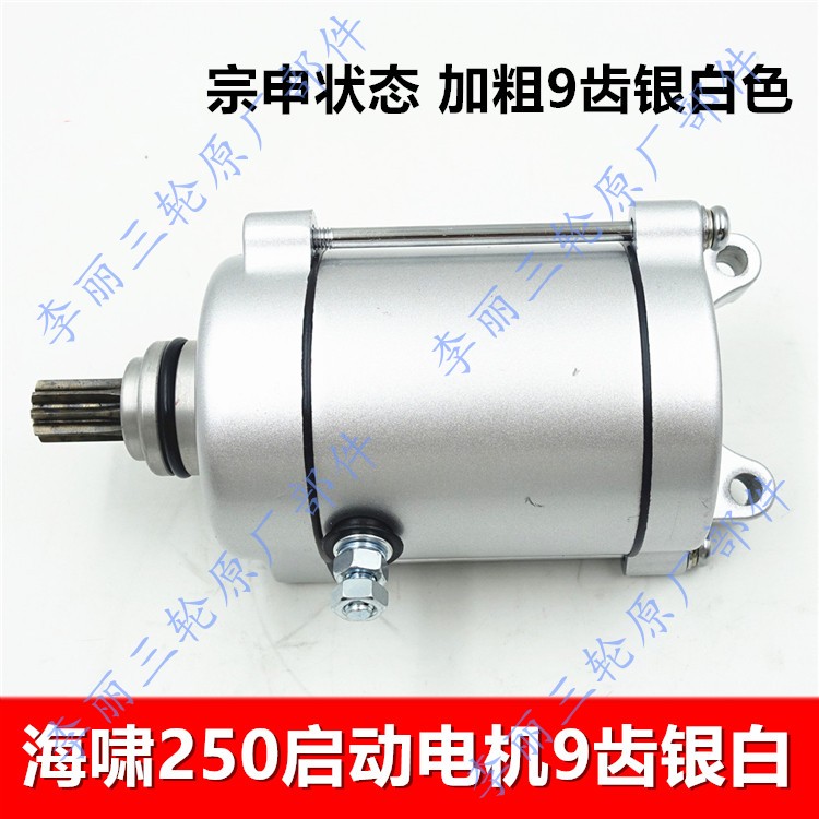 包邮大排量三轮车启动威锋悍威
