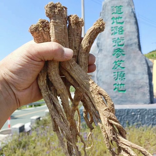 上党野生党参山西长治野生潞党参