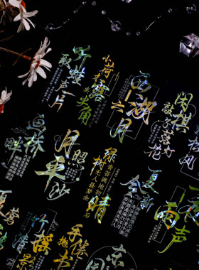 大象君 听夏意 陆制5mpet白墨PET贝壳光 文字诗词diy流麻咕卡