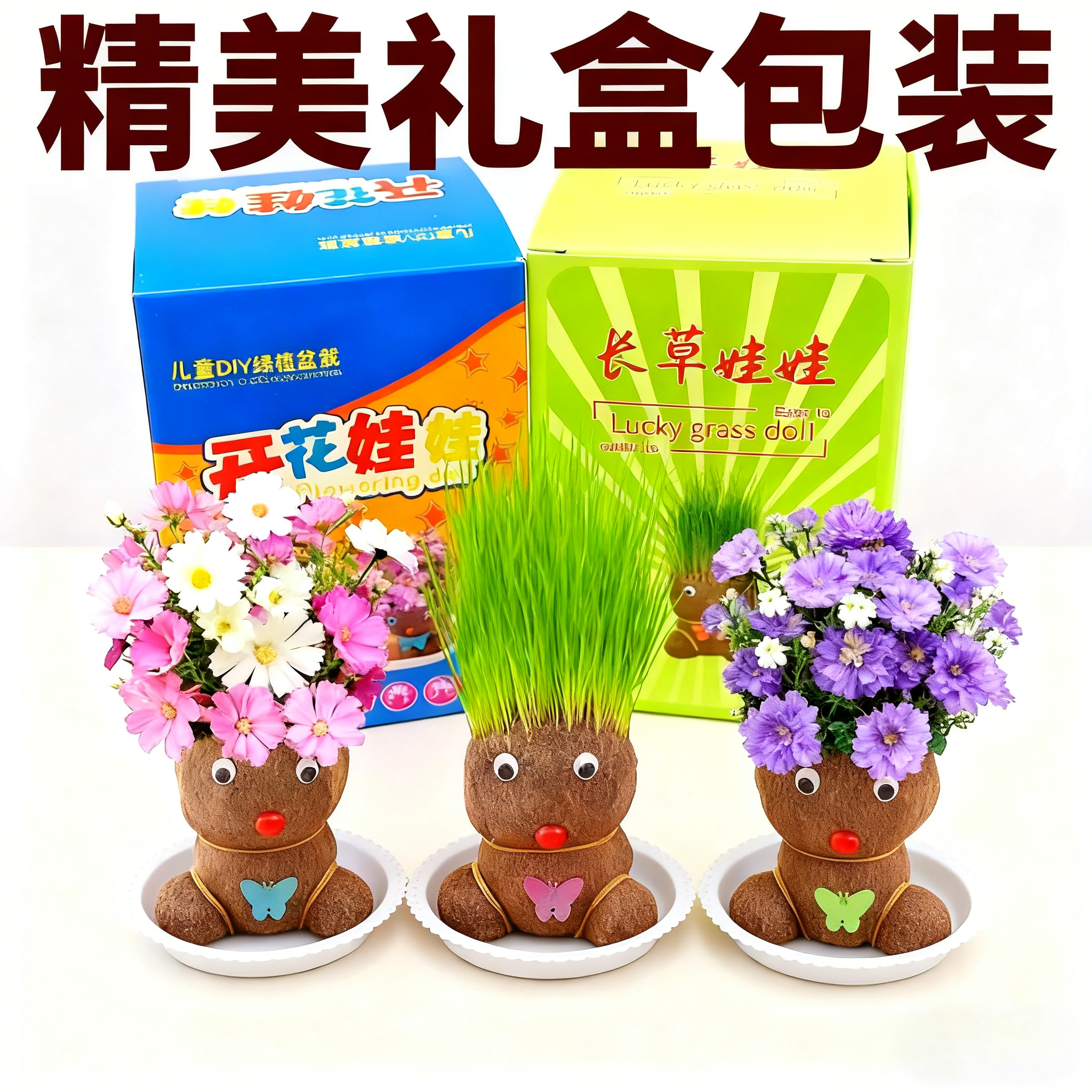 植物盆栽盒装儿童生日礼物