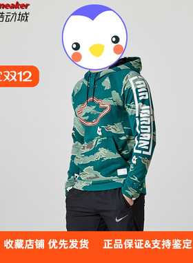 JORDAN 隐形飞翼 男子毛圈布迷彩运动休闲连帽卫衣 AT9021-010