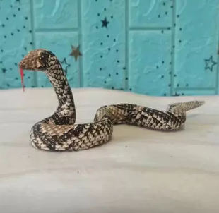 仿真黄鼠狼摆件黄家黄皮子玩偶狐狸仿真蛇黄鼬工艺品可摆可烧道具