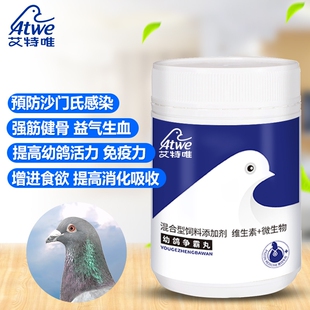 艾特唯鸽用幼鸽争霸丸500丸信赛种鸽子育雏保健营养调理幼鸽夺霸