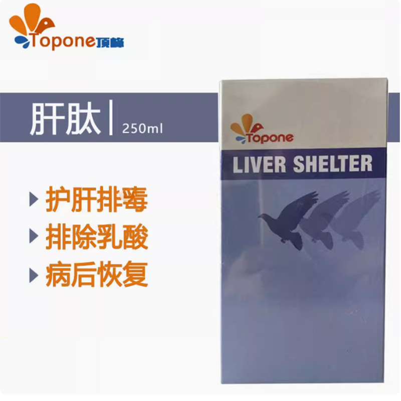 顶峰鸽肝肽250ml防护一号信赛鸽解毒排除乳酸鸽鸟强化肝精子大全