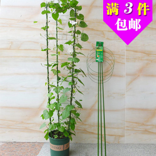 老花农家庭园艺价格 老花农家庭园艺图片 星期三