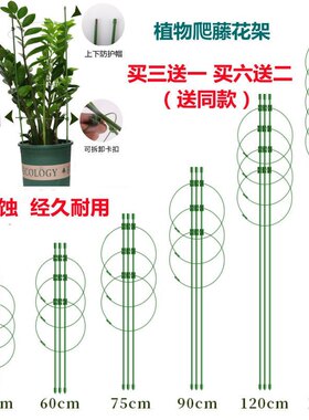爬藤花架园艺花支架柱藤本植物