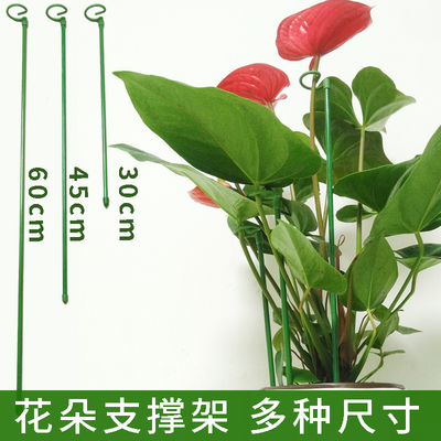 植物固定防倒伏花架子园艺支撑单杆室外花园月季爬藤绣球撑花支架