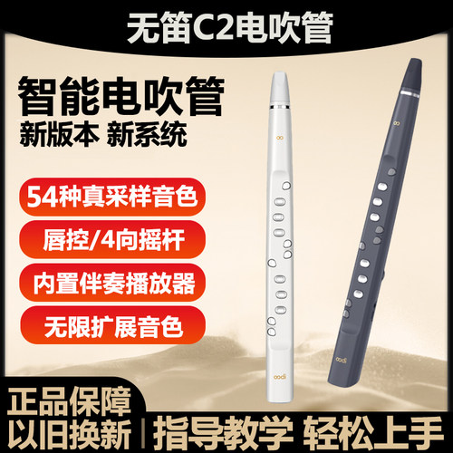 亲款无笛c2电吹管轻巧便携乐器