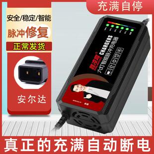 六灯自动关机电动车电瓶充电器48V12AH60V20AH72V30A通用绿源两孔