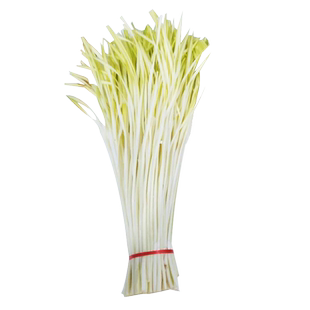 四季盆栽韭黄种子种籽黄韭蔬菜苗根菜籽菜种籽种南方种韭菜根苗