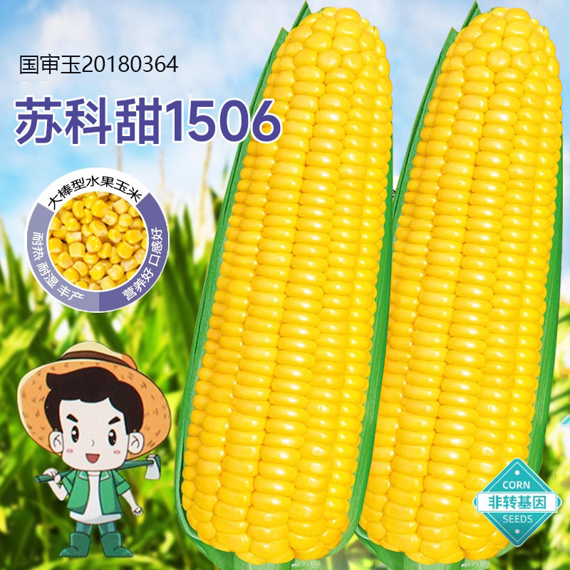 超甜水果玉米种子特大高产鲜食甜玉米种孑甜糯玉米种籽官方旗舰店