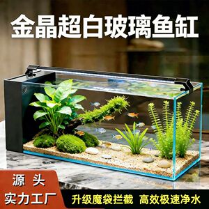 金晶超白玻璃侧滤鱼缸桌面小型客厅家用生态金鱼缸新款桌面水族箱