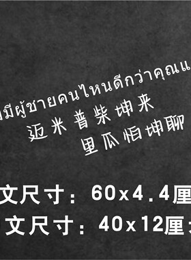 世麟车贴迈米普柴坤来里瓜怕坤聊吾岸文字后挡风玻璃车身通用贴纸