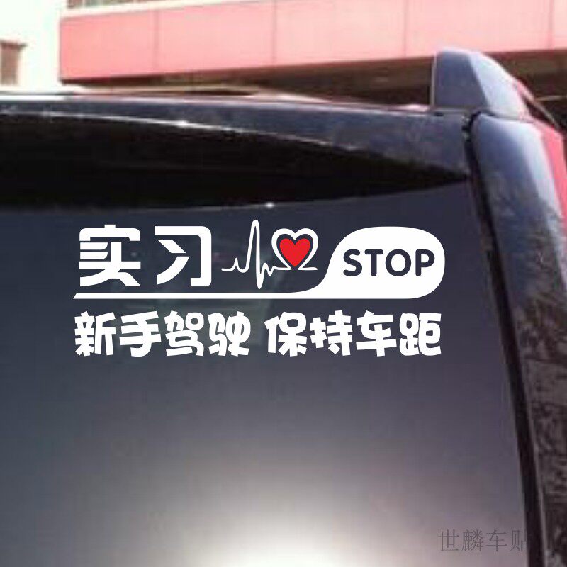 实习女司机贴纸尾标