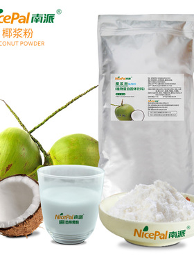 海南厂家南派椰浆粉A101食品原料水果饮料代餐海南特产椰子粉1kg