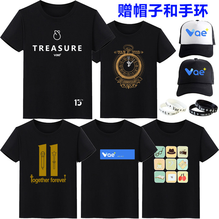 2020許嵩十四周年紀念會服 Vae12/13/14周年會服同款T恤短袖夏裝在類目 男裝, T恤中 - 來自Buy2taobao.com提供專業的淘寶代購服務