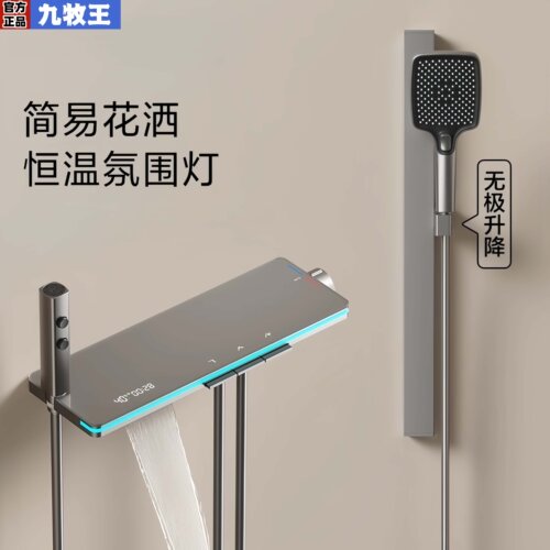 全铜九牧王牌简易灯光大置物花洒