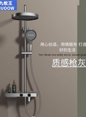 正品大置物卫浴全铜拉丝银淋浴套装家用枪灰色增压花洒抗垢防刮花
