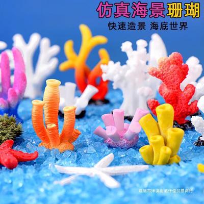 珊瑚花礁石贝壳海螺鱼缸造景家居装饰品水族馆橱窗样板间摆