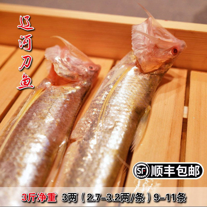 盘锦特产辽河刀鱼新鲜3两毛刀鱼烤子鱼凤尾鱼海刀鱼3斤冷冻包邮