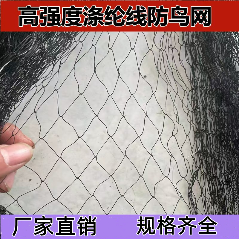 粘鸡网加粗尼龙网厂家防鸟网飞机场鱼塘天网养殖果园防鸟网挡鸡网,农机/农具/农膜,农用防鸟网,淘宝优惠券,粉丝福利购,淘宝优惠卷