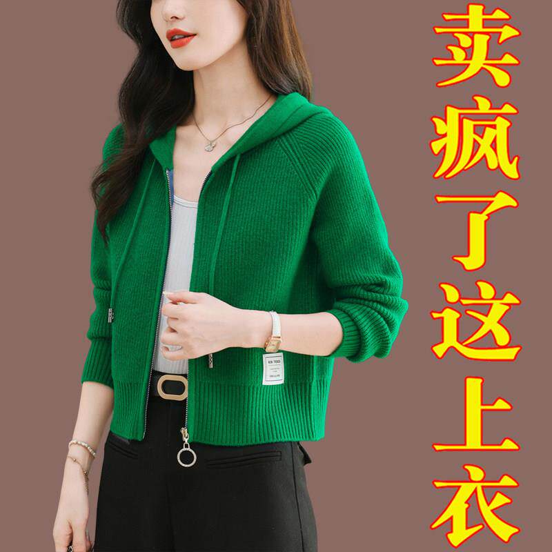 连帽针织衫女开衫春秋帽衫羊毛衫外搭配裙子的短款高腰毛衣短外套