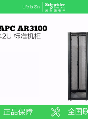 施耐德（APC）42U 标准机柜 AR3100 UPS机柜