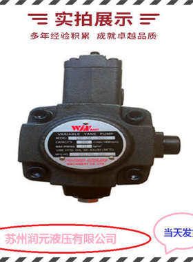 法国HPI齿轮泵P1CAN2030HT20C02N080V15 货期短 欢迎询价