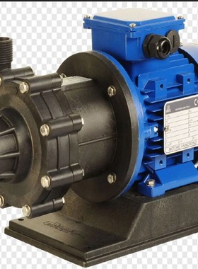 意大利GemmeCotti耐腐蚀泵HTM