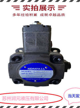 法国HPI齿轮泵P1CBN3040HA2004HD1001CL20C04N 快速发货