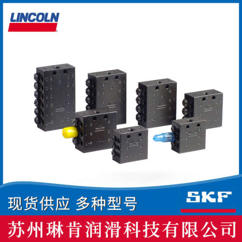 SKF美国林肯Lincoln直涨芯432-24162-1